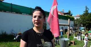 Devletin Yolunu Botanik Bahçesine Çevirdi