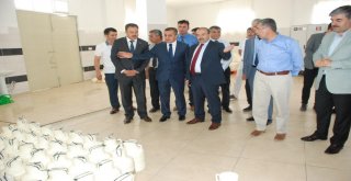 Ahlat Patatesi Umut Veriyor