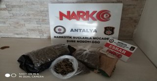 Antalyada Torbacı Avı