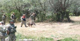 Asker Vatandaşla Birlikte Dağ, Taş Küçük Evrimi Arıyor