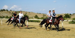 Taşköprüde Düzenlenen At Yarışları Nefesleri Kesti