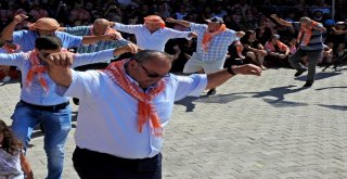 Çeşmenin Ünlü Sakız Koyunları Yarıştı