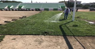 Ramiz Turan Stadında Çim Ekimine Başlandı