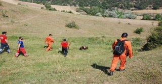 Minik Evrimi Arama Çalışmalarına Kadavra Köpeği Katıldı