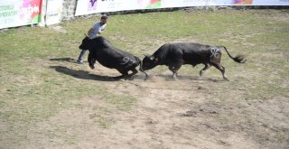 38. Kafkasör Kültür, Turizm Ve Sanat Festivali