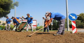 BÜYÜKŞEHİR'DEN KAVŞAKLARA ESTETİK DOKUNUŞ