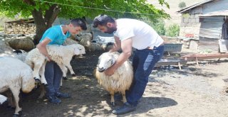 14 Yaşındaki Berdanın Lgs Başarısı Dikkat Çekti