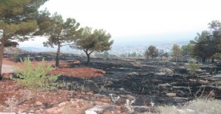 Adıyamanda Orman Yangını Söndürüldü