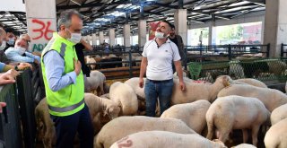 Başkan Aktaş'dan modern Kurban Pazarı'na ziyaret