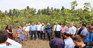 Tarım A.ş. Sayesinde Çiftçi Kazanacak