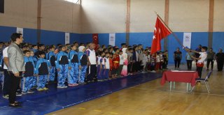 Çankırıda Wushu Sanda/taolu Şampiyonası Yapıldı