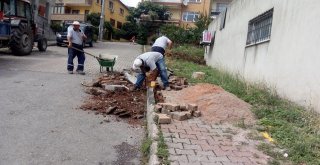 Körfezin Parklarında Tabelalar Yenilendi