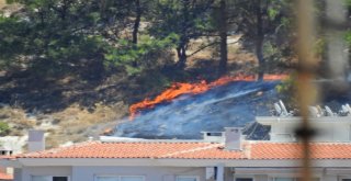 Çeşmede Orman Yangını Korkuttu