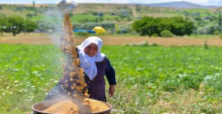 Kocasinanda Şanlı Buğday Çeşidi Tarla Günü