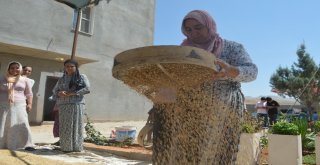 Kuraklığa Mezopotamya Topraklarının Sorgülü Çözüm Olacak