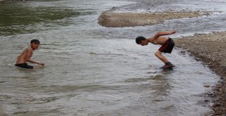 Tehlikeye Aldırış Etmeden Nehirde Yüzüyorlar