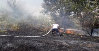 Otluk Yangını Ağaçlara Zarar Verdi