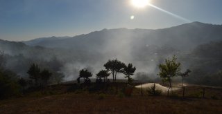 Adanada Yangında 2 Hektarlık Orman Zarar Gördü