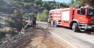 Aydında Piknik Ateşi Yangına Sebep Oldu