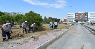 İktisat Fakültesinde Çevre Düzenlemesi