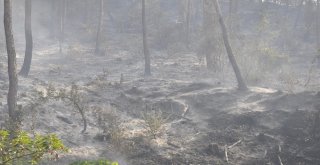 Amanoslardaki Orman Yangınını Soğutma Çalışması Sürüyor