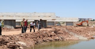 Toplu Balık Ölümlerini Nedeni, Oksijen Azlığı