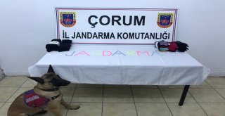 Jandarmadan Zehir Tacirine Operasyon