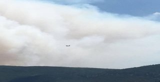 Torbalıda Yangın Var, Kuşadasına Kül Yağıyor