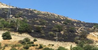 Adıyaman Malatya Arasında Orman Yangını