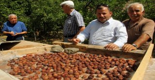 En İyi Pekmez Ve Reçellerin Sırrı: Güneş Işığı