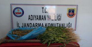 Jandarma Uyuşturucu Madde Ele Geçirdi