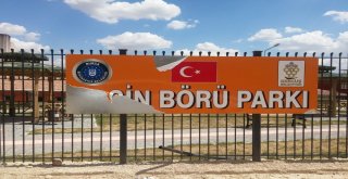 Gercüşte Yasin Börü Parkının Tabelası Yenilendi