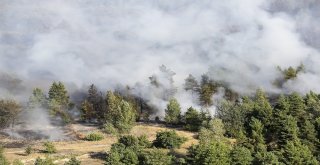 Kırımda Başlayan Orman Yangını Söndürülemiyor