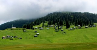 Türkiyede Huzurun Adresi; Karadeniz Yaylaları