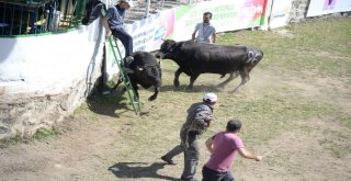 38. Kafkasör Kültür, Turizm Ve Sanat Festivali