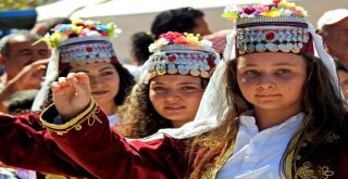 Çeşmenin Ünlü Sakız Koyunları Yarıştı