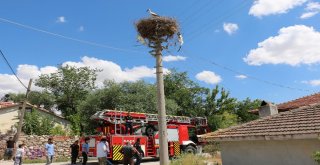 Çankırıda Tellere Takılan Leylek Kurtarıldı