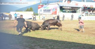 38. Kafkasör Kültür, Turizm Ve Sanat Festivali