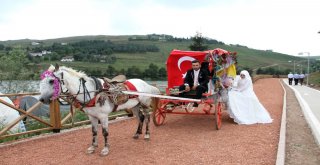 Perşembe Yaylası Düğün Fotoğrafçılarının Gözde Mekanı Haline Geldi