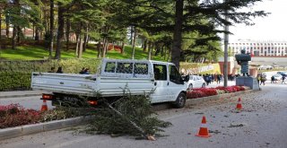 Kontrolden Çıkan Kamyonet Çam Ağacına Çarparak Durabildi