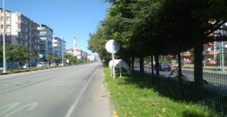 Otoyoldaki Başıboş At, Polisi Alarma Geçirdi