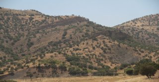 Pkk Kandilde Köşeye Sıkıştı