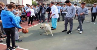 Can Dostları Okullu Oldu