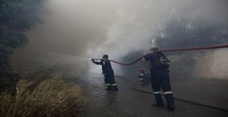 Yunanistandaki Yangın Felaketinde Ölü Sayısı Artıyor