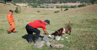 Minik Evrimi Arama Çalışmalarına Kadavra Köpeği Katıldı