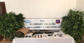 Burdurda Jandarmadan Dedektör Köpekli Uyuşturucu Operasyonu