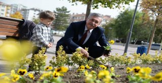 Pursaklarda Çiçekler Toprakla Buluştu