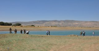 Pikniğe Giden 4 Kadın Suda Boğularak Can Verdi