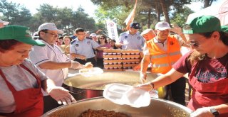 Bafrada Kavun Karpuz Festivali