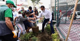 Beyoğlu Mahalle Bahçeleri'ne Bir Bir Kavuşuyor